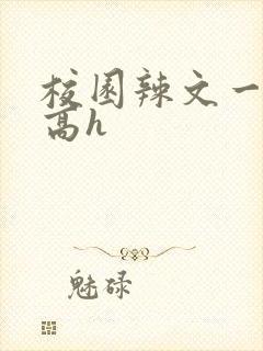 校园辣文一对一高h