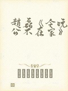 赵磊《今晚,老公不在家》小说