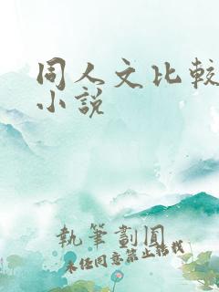 同人文比较多的小说