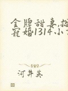 金牌甜妻,总裁宠婚1314小说