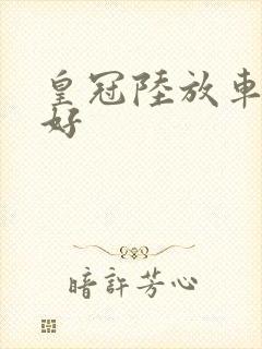 皇冠陆放车好不好