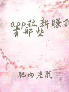 app拉新赚钱有哪些