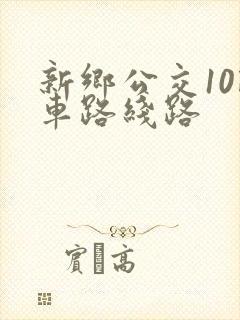 新乡公交10路车路线路