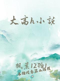 大高h小说