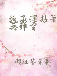 魏承泽劫笔趣阁无弹窗
