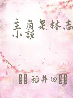 主角是林志强的小说