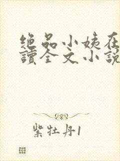 绝品小姨在线阅读全文小说
