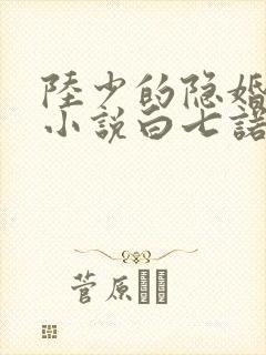 陆少的隐婚罪妻小说白七诺