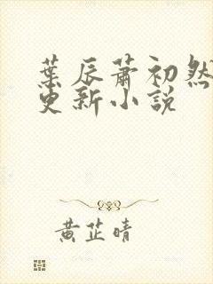 叶辰萧初然最快更新小说