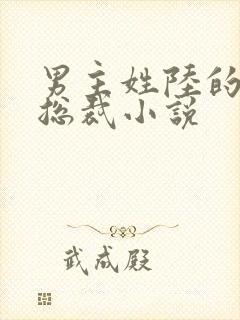 男主姓陆的豪门总裁小说