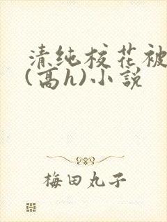 清纯校花被调教(高h)小说