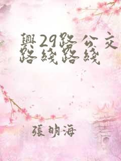 兴29路公交车路线路线 兴29路公交车路线路线