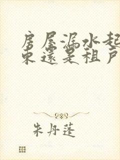 房屋漏水起诉房东还是租户