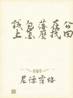 钱包落在公交车上怎么找回
