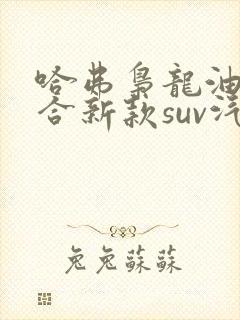 哈弗枭龙油电混合新款suv汽车价格