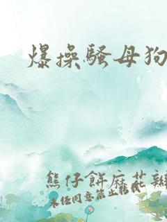爆操骚母狗