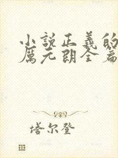 小说正义的使命厉元朗全篇
