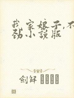 我家娘子,不对劲小说版