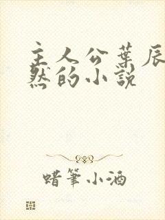 主人公叶辰萧初然的小说