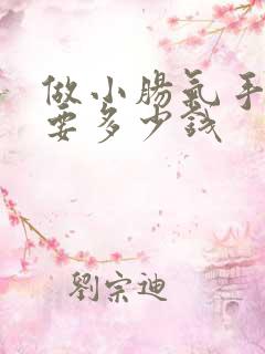 做小肠气手术需要多少钱