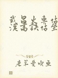 武昌火车站到武汉高铁站坐几号线