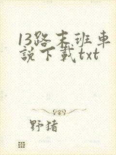 13路末班车小说下载txt