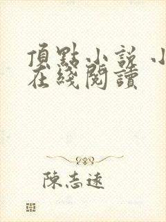 顶点小说 小说在线阅读
