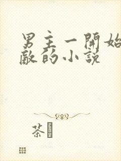 男主一开始就无敌的小说