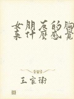 女朋友的胸摸起来什么感觉