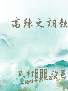 高辣文调教小说
