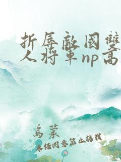 折辱敌国双性美人将军np高h