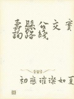 寿县公交实时查询路线