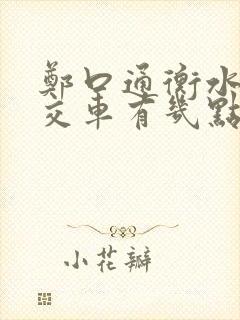 郑口通衡水的公交车有几点的