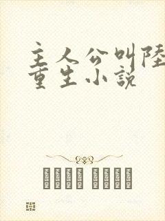 主人公叫陆辰的重生小说