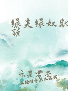 绿夫绿奴献妻小说