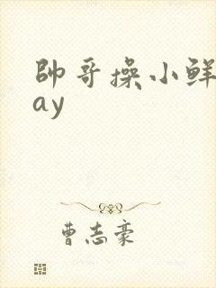 帅哥操小鲜肉gay 帅哥操小鲜肉gay