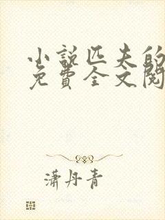小说匹夫的逆袭免费全文阅读