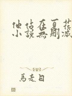 他站在夏花绚烂小说无删减正版在线阅读