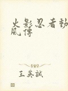 火影忍者动画疾风传