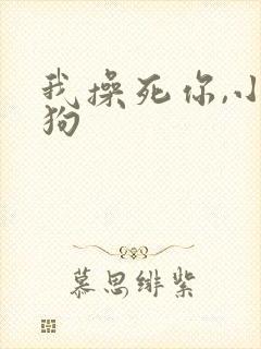 我操死你,小母狗