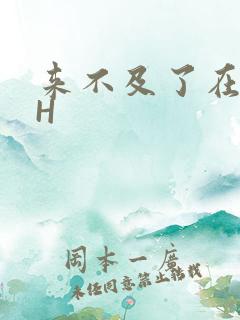 来不及了在车CH