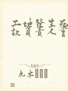 工地发生死亡事故负责人会判刑吗