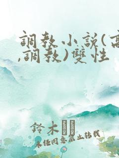 调教小说(高h,调教)双性