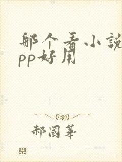 那个看小说的app好用