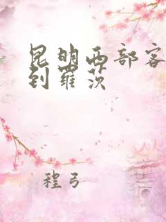 昆明西部客运站到罗茨