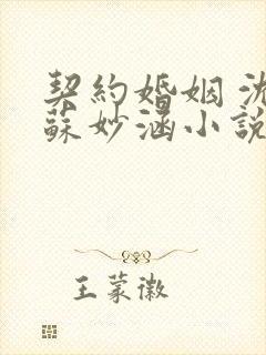 契约婚姻 沈浪苏妙涵小说