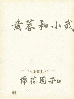 黄蓉和小武后传
