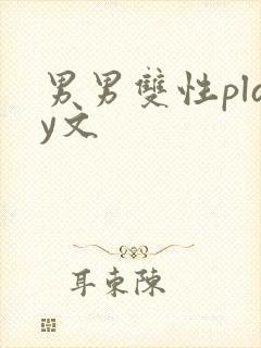 男男双性play文