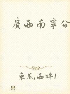 广西南宁公交车