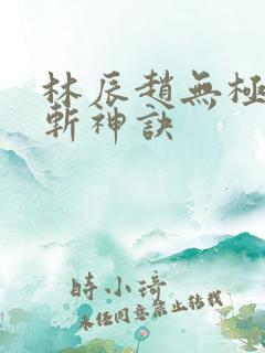 林辰赵无极九天斩神诀